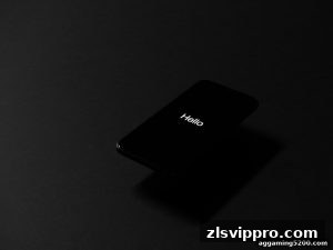 AG真人 zlsvippro